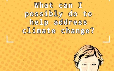 10 actions business professionals can take to address the climate crisis