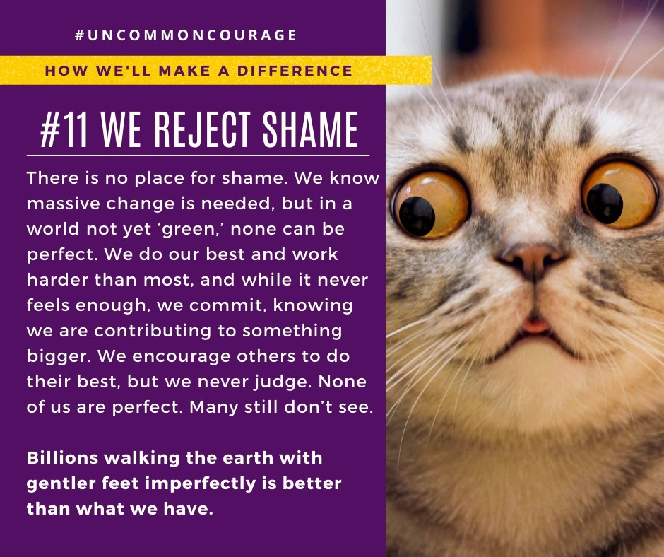 Uncommon Courage 